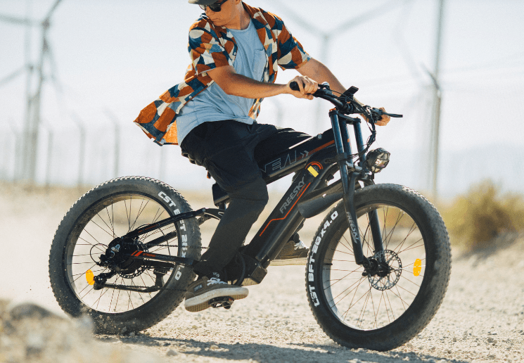 Alaska-Pro-1_2c052c28-ee8e-49c6-a622-6b366f853833 - Freeskycycle eBike