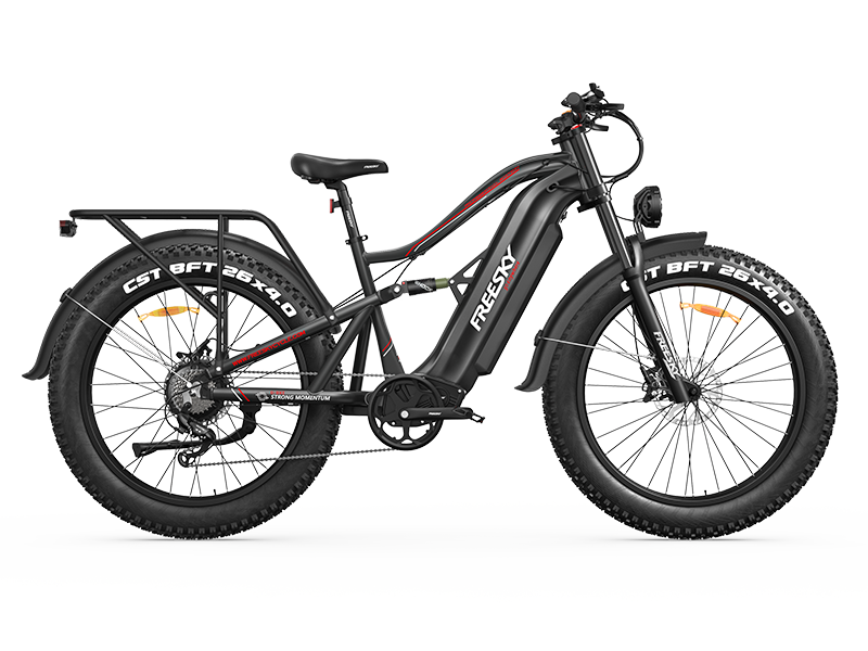 Swift Horse Ultra X-6E