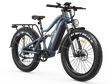 Swift Horse Ultra X-6E