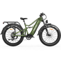 Swift Horse X-6E