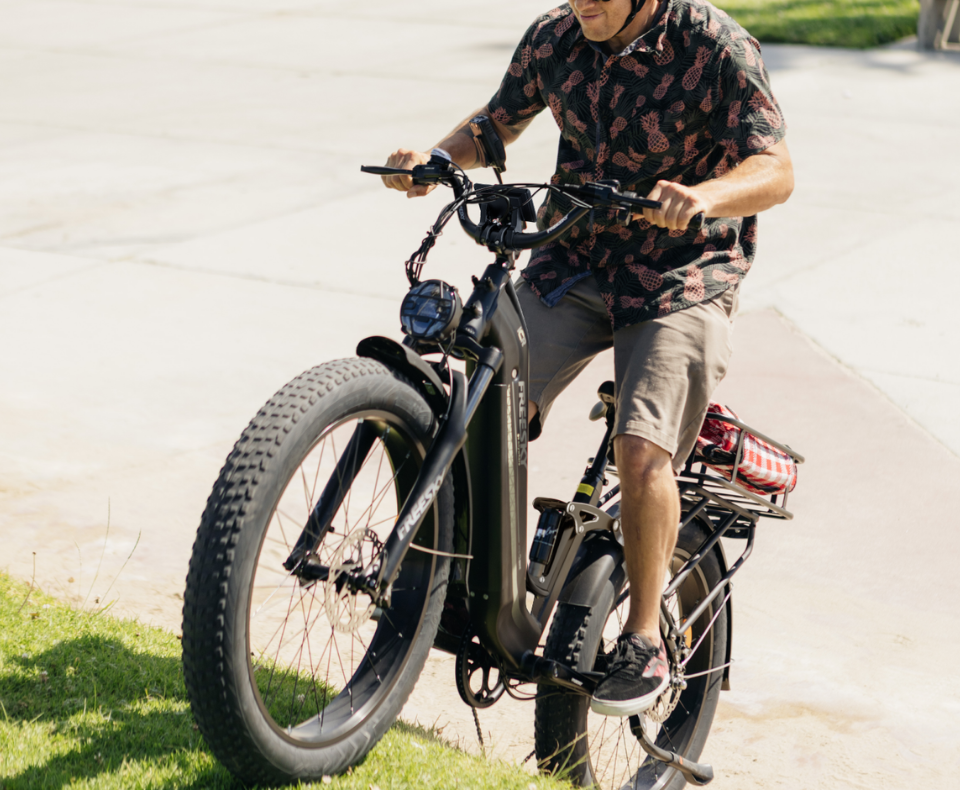 Freeskycycle eBike | Electric Step Thru Bike Wild Cat Ultra A-340 ...