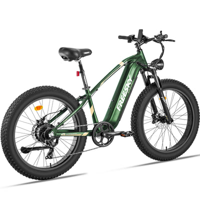 Front-Suspension-750W-Motor-affordable-electric-bike-for-adults-48V-15AH-X5E
